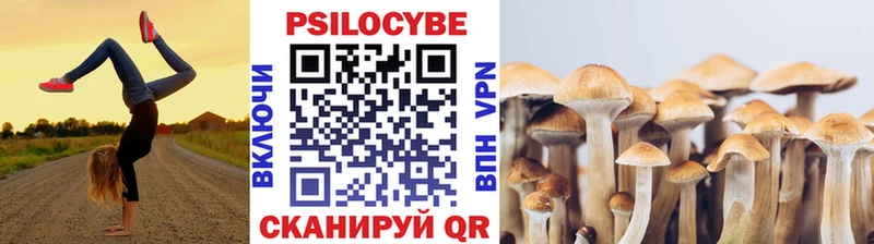 Галлюциногенные грибы Magic Shrooms  Новоржев 